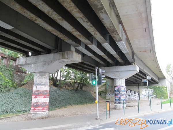 Sztuczny bluszcz - rzecz niebrzydka i praktyczna zarazem Foto: ZTM Sztuczny bluszcz - rzecz niebrzydka i praktyczna zarazem Foto: ZTM