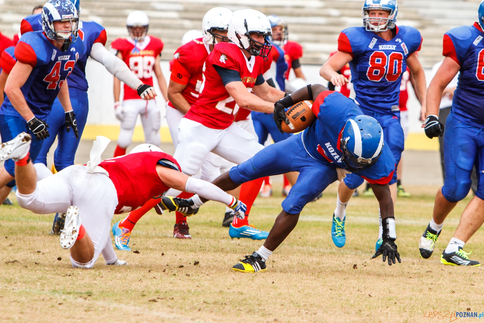 Patrioci Poznań - Kozły Poznań - Poznań Golęcin 30.07.2016 Foto: LepszyPOZNAN.pl / Paweł Rychter Patrioci Poznań - Kozły Poznań - Poznań Golęcin 30.07.2016 Foto: LepszyPOZNAN.pl / Paweł Rychter
