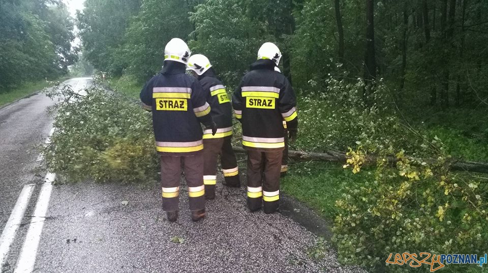 Interwencje strażaków w okolicach Skoków Foto: OSP Skoki Interwencje strażaków w okolicach Skoków Foto: OSP Skoki