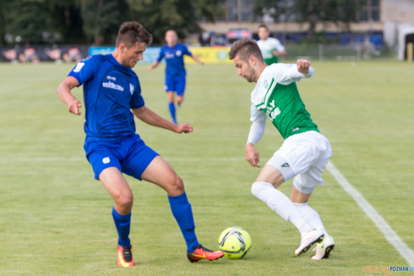 Warta Poznań - Kotwicy Kołobrzeg Foto: lepszyPOZNAN.pl / Piotr Rychter Warta Poznań - Kotwicy Kołobrzeg Foto: lepszyPOZNAN.pl / Piotr Rychter
