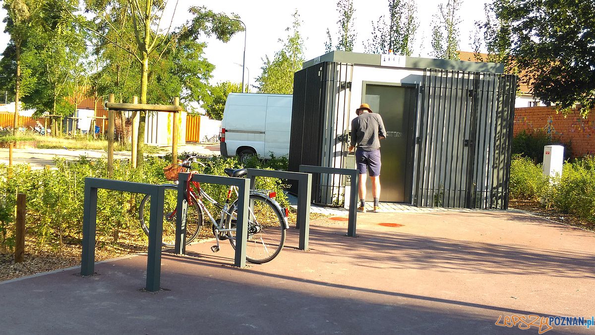 Park w Starym Korycie - fot. Tomasz Dworek (15) Foto: Park w Starym Korycie - fot. Tomasz Dworek (15) Foto: