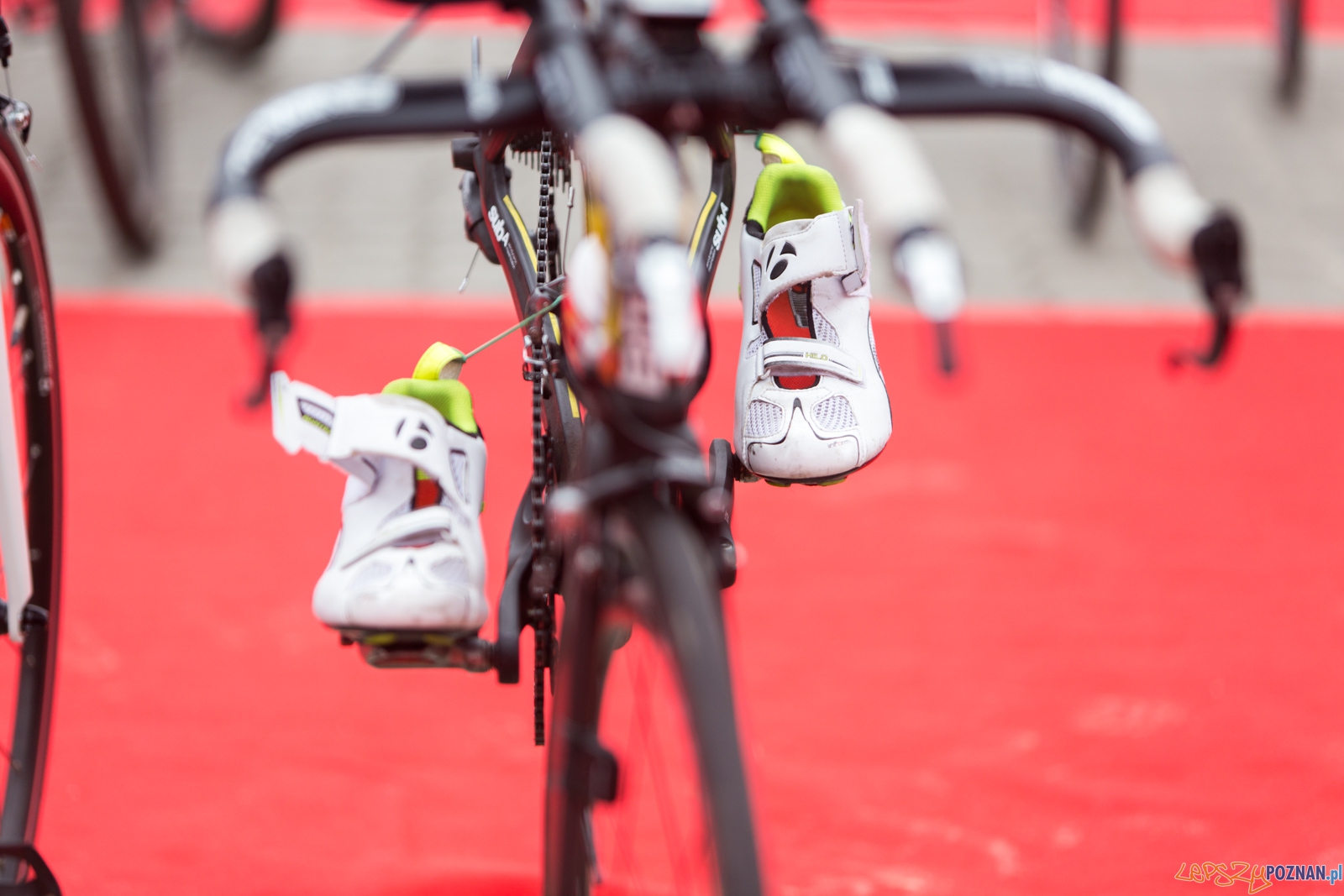 Enea Challenge Poznań Foto: lepszyPOZNAN.pl / Piotr Rychter Enea Challenge Poznań Foto: lepszyPOZNAN.pl / Piotr Rychter