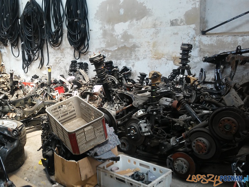 Kolejne dziuple z kradzionymi częściami Foto: KWP w Poznaniu Kolejne dziuple z kradzionymi częściami Foto: KWP w Poznaniu