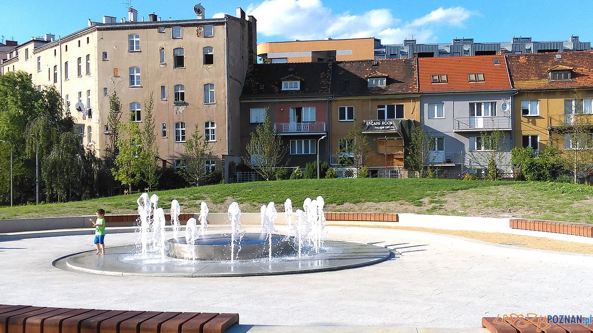 Park w Starym Korycie - fot. Tomasz Dworek (10) Foto: Park w Starym Korycie - fot. Tomasz Dworek (10) Foto: