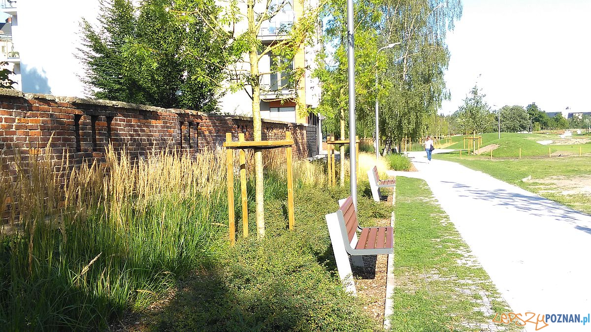 Park w Starym Korycie - fot. Tomasz Dworek (3) Foto: Park w Starym Korycie - fot. Tomasz Dworek (3) Foto: