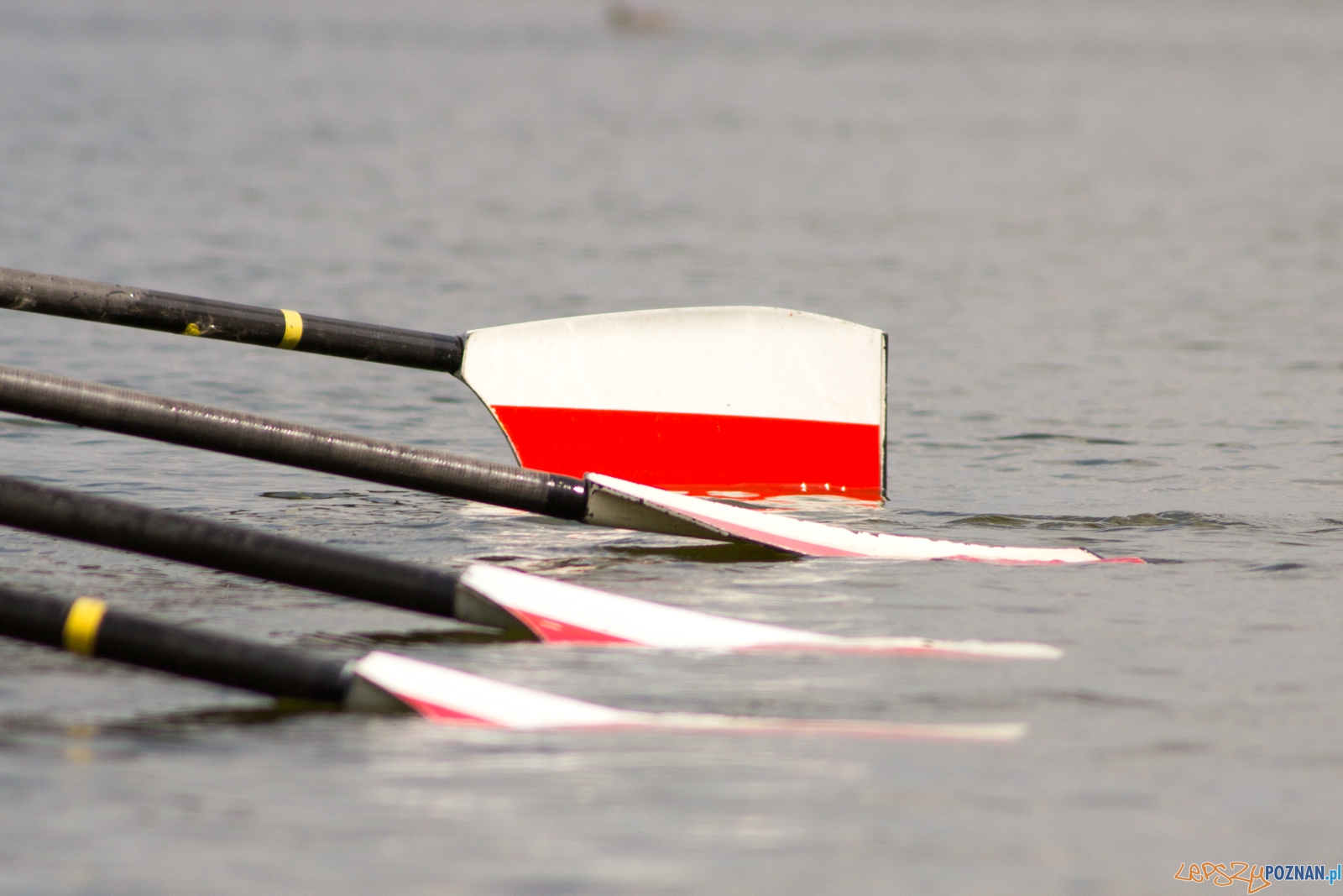 Coupe de la Jeunesse Foto: Ewelina Jaśkowiak Coupe de la Jeunesse Foto: Ewelina Jaśkowiak