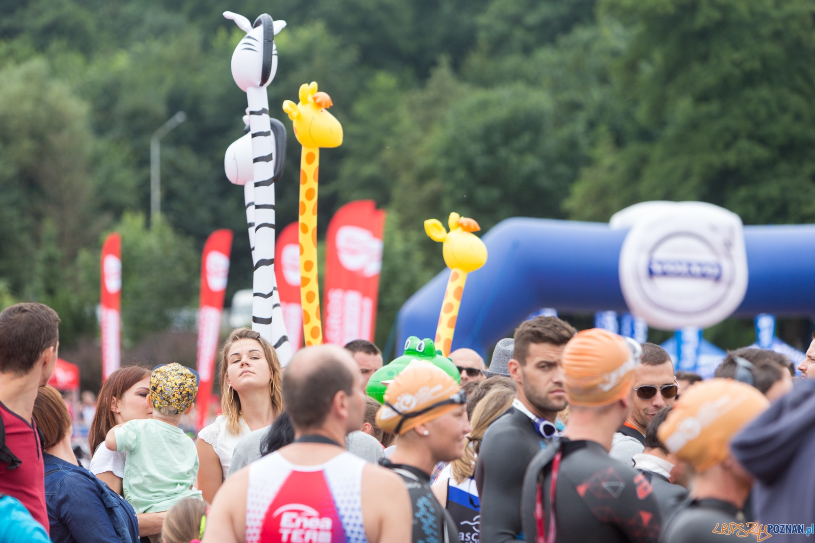 Enea Challenge Poznań Foto: lepszyPOZNAN.pl / Piotr Rychter Enea Challenge Poznań Foto: lepszyPOZNAN.pl / Piotr Rychter