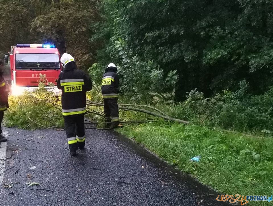 Interwencje strażaków w okolicach Skoków Foto: OSP Skoki Interwencje strażaków w okolicach Skoków Foto: OSP Skoki