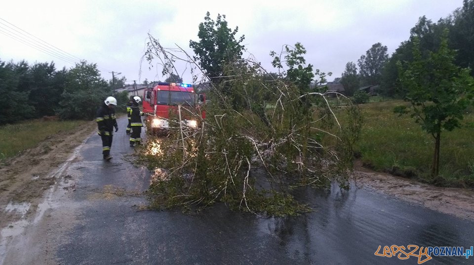 Interwencje strażaków w okolicach Skoków Foto: OSP Skoki Interwencje strażaków w okolicach Skoków Foto: OSP Skoki