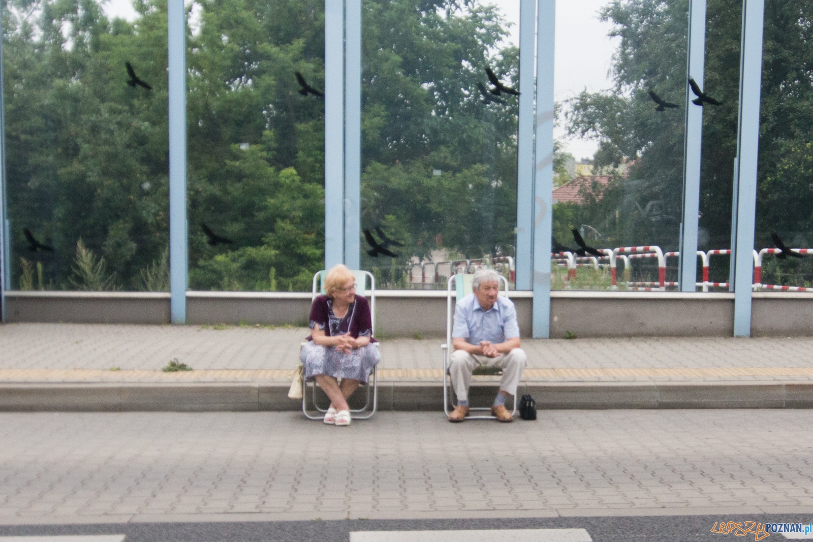 Enea Challenge Poznań Foto: lepszyPOZNAN.pl / Piotr Rychter Enea Challenge Poznań Foto: lepszyPOZNAN.pl / Piotr Rychter