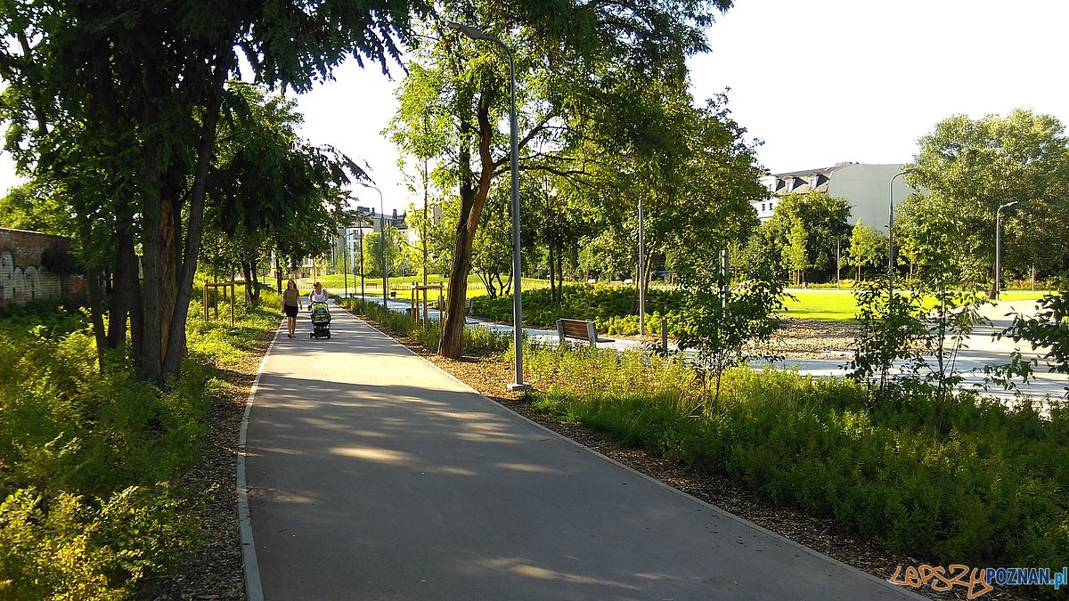 Park w Starym Korycie - fot. Tomasz Dworek (16) Foto: Park w Starym Korycie - fot. Tomasz Dworek (16) Foto: