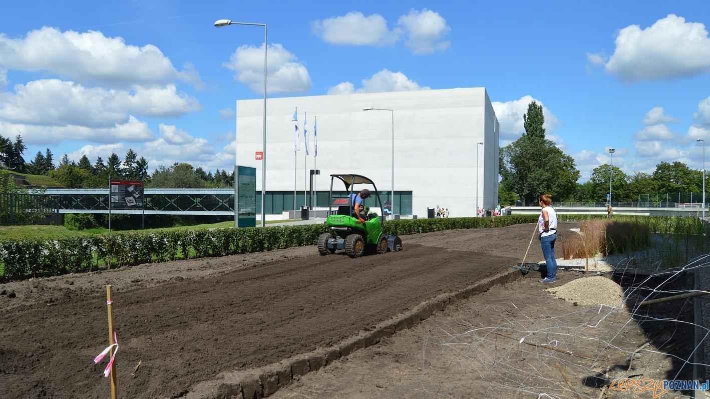 Zielono mi... na Śródce Foto: UMP Zielono mi... na Śródce Foto: UMP