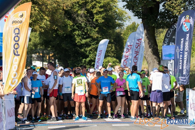 Murowana Dycha 2016 Foto: UMiG Murowana Goślina / Tomasz Szwajkowski Murowana Dycha 2016 Foto: UMiG Murowana Goślina / Tomasz Szwajkowski