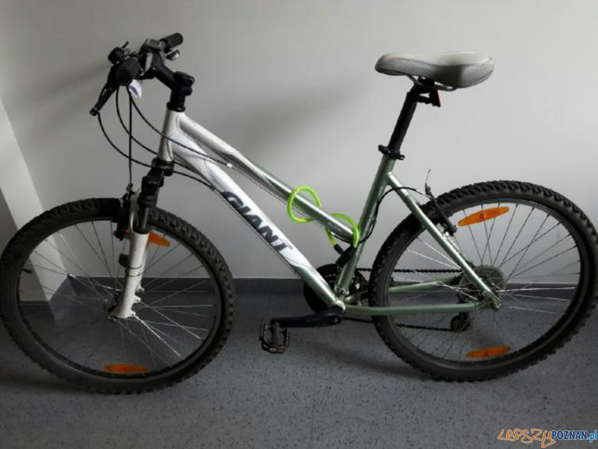 Rowery czekają na właścicieli Foto: KMP w Poznaniu Rowery czekają na właścicieli Foto: KMP w Poznaniu