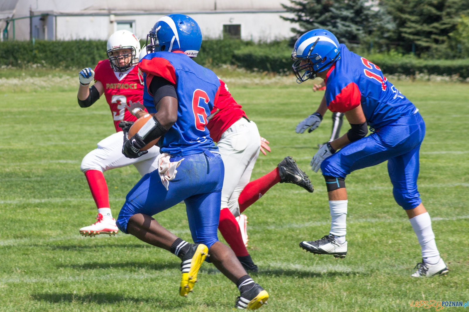 Koz艂y Pozna艅 B-Patrioci Pozna艅 Foto: Ewelina Ja艣kowiak Koz艂y Pozna艅 B-Patrioci Pozna艅 Foto: Ewelina Ja艣kowiak