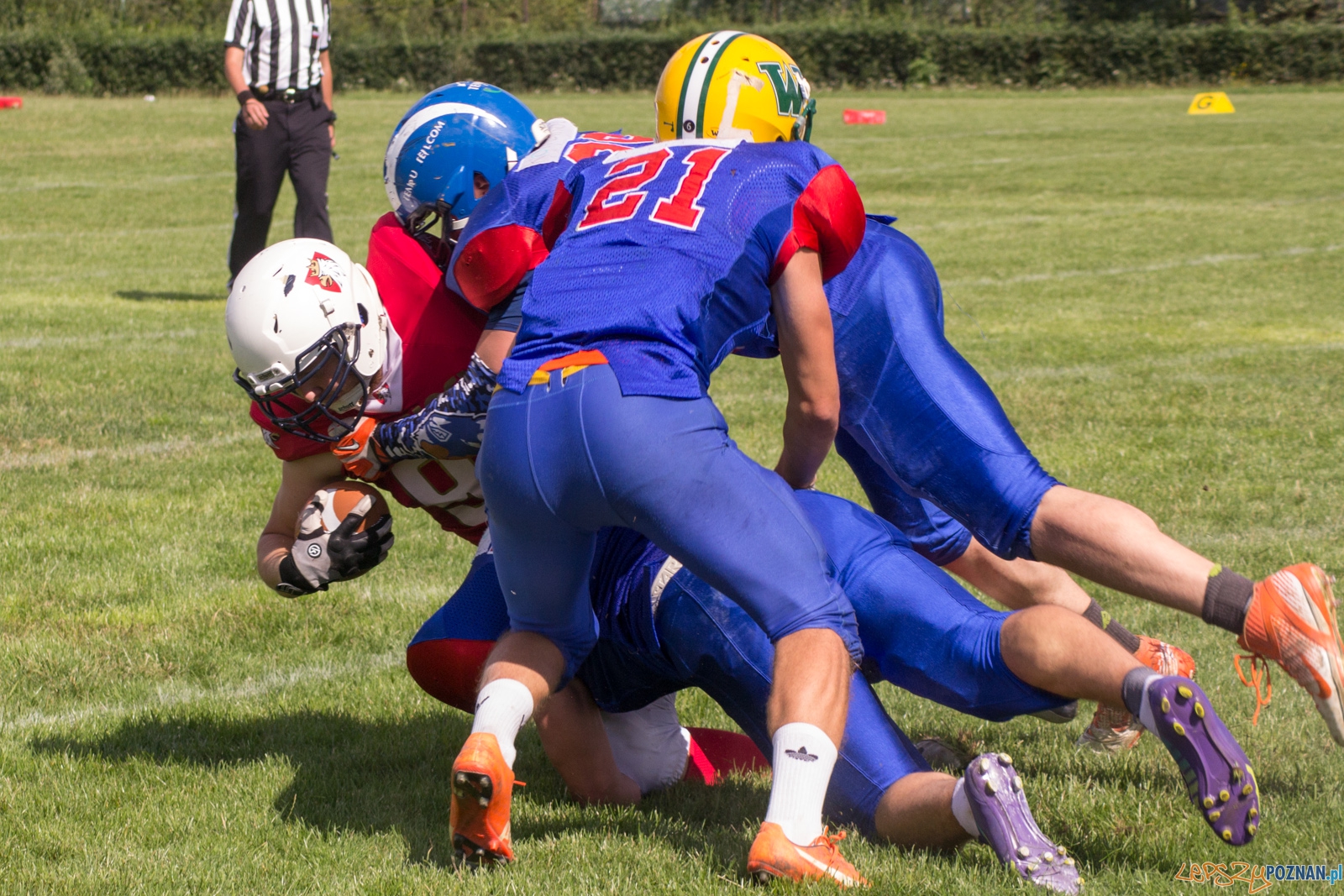 Koz艂y Pozna艅 B-Patrioci Pozna艅 Foto: Ewelina Ja艣kowiak Koz艂y Pozna艅 B-Patrioci Pozna艅 Foto: Ewelina Ja艣kowiak