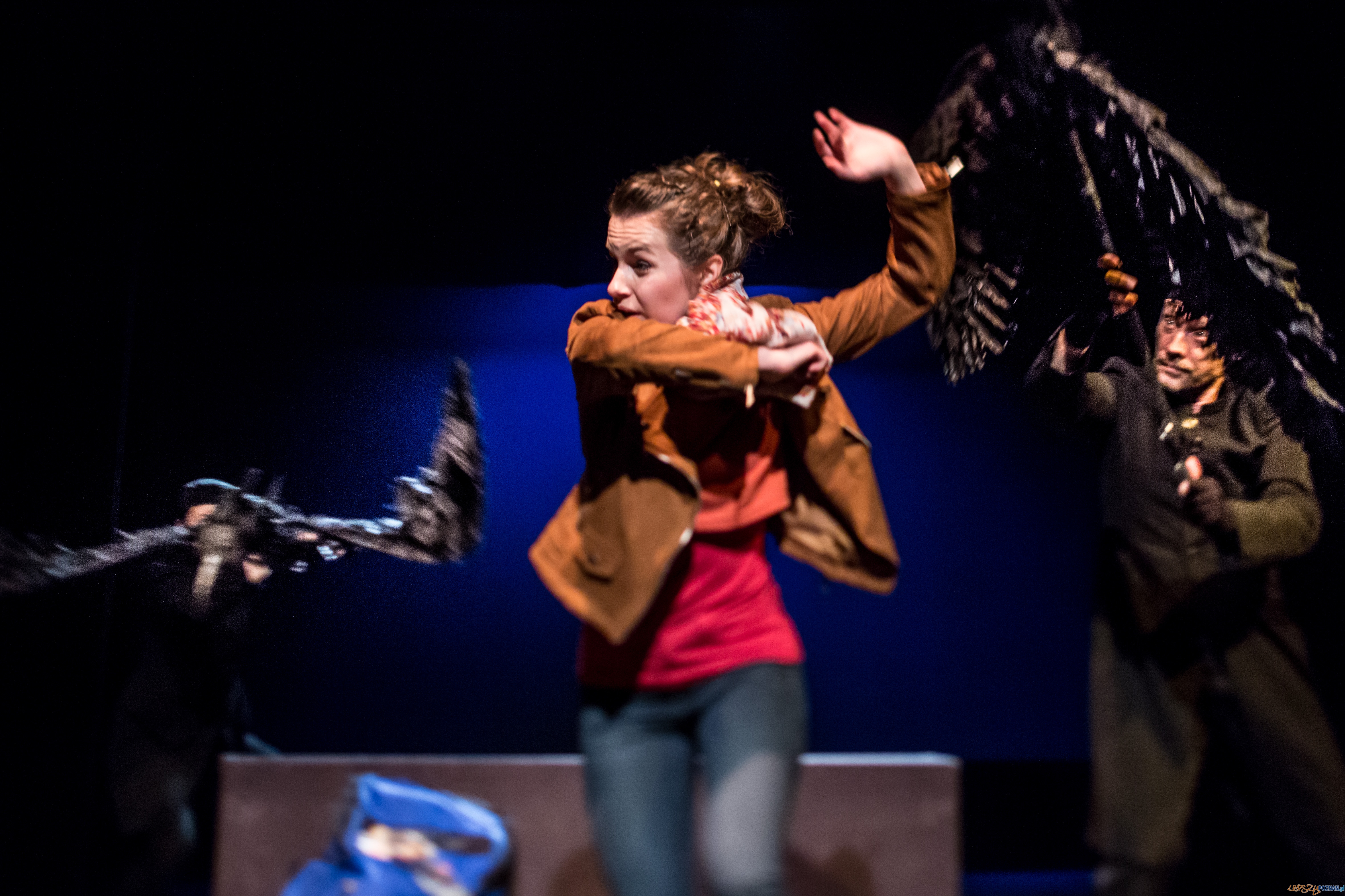 Czarne ptaki, reż. E. Bass Foto: Jakub Wittchen Czarne ptaki, reż. E. Bass Foto: Jakub Wittchen