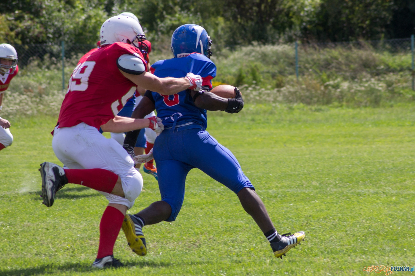 Koz艂y Pozna艅 B-Patrioci Pozna艅 Foto: Ewelina Ja艣kowiak Koz艂y Pozna艅 B-Patrioci Pozna艅 Foto: Ewelina Ja艣kowiak