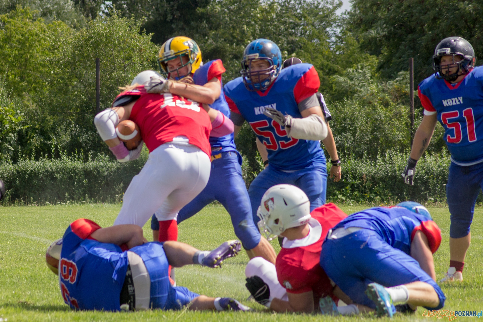 Koz艂y Pozna艅 B-Patrioci Pozna艅 Foto: Ewelina Ja艣kowiak Koz艂y Pozna艅 B-Patrioci Pozna艅 Foto: Ewelina Ja艣kowiak