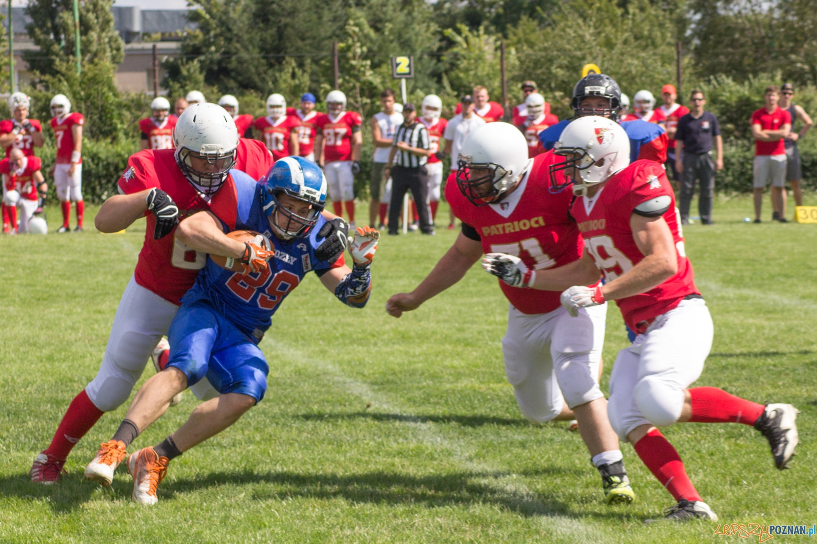 Koz艂y Pozna艅 B-Patrioci Pozna艅 Foto: Ewelina Ja艣kowiak Koz艂y Pozna艅 B-Patrioci Pozna艅 Foto: Ewelina Ja艣kowiak