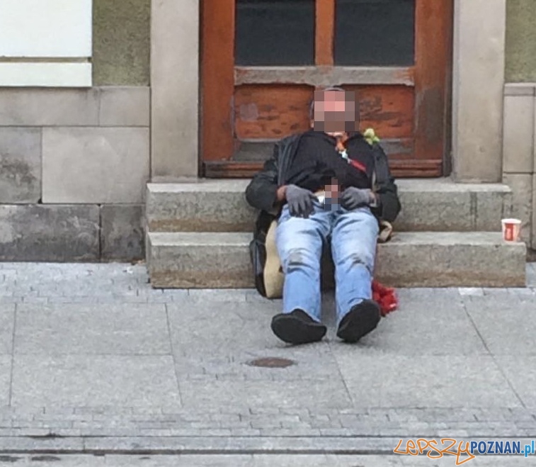 Kusiciel z Wrocławskiej Foto: Stowarzyszenie Ulica Wrocławska Kusiciel z Wrocławskiej Foto: Stowarzyszenie Ulica Wrocławska