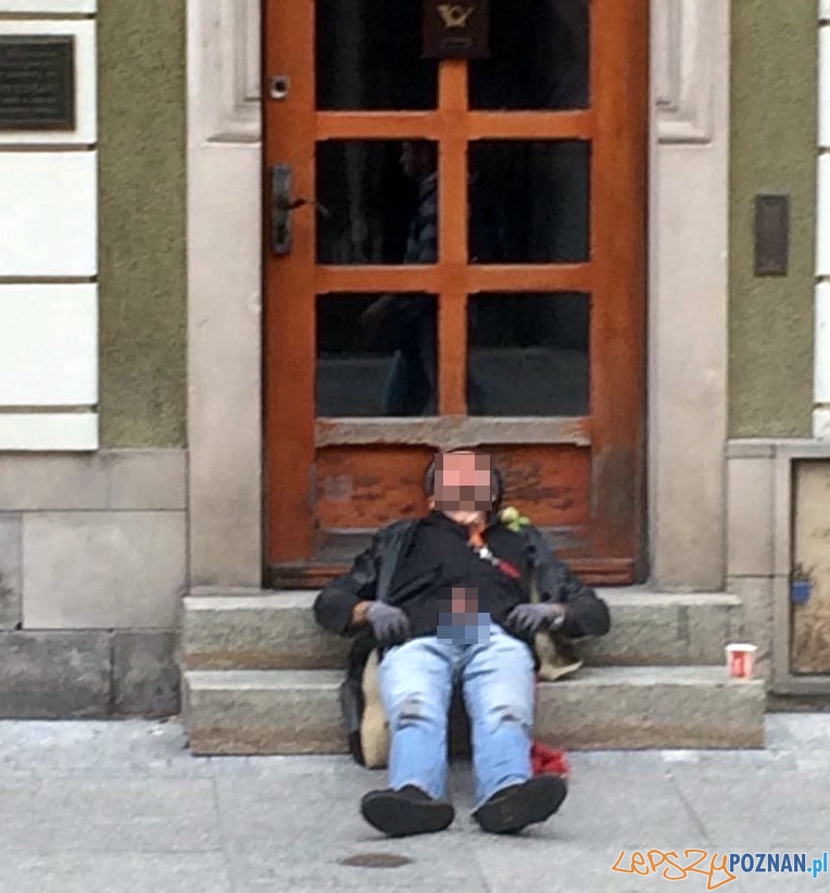 Kusiciel z Wrocławskiej Foto: Stowarzyszenie Ulica Wrocławska Kusiciel z Wrocławskiej Foto: Stowarzyszenie Ulica Wrocławska