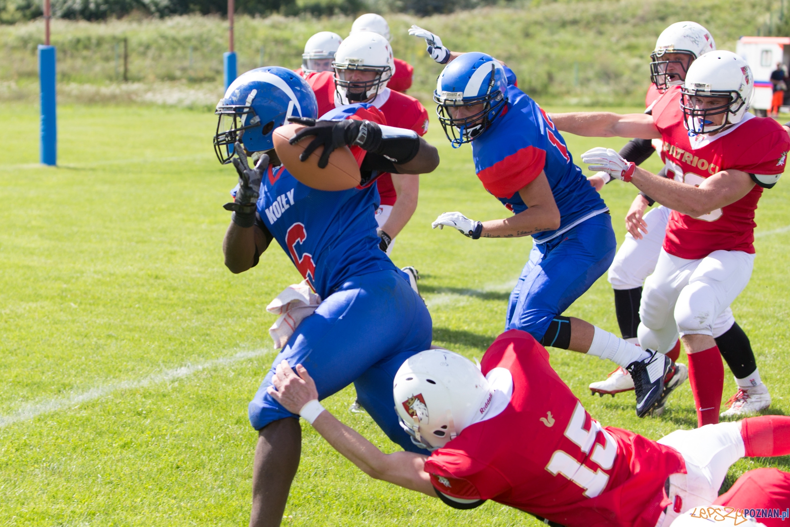 Koz艂y Pozna艅 B - Patrioci Pozna艅 - 8. kolejka PLFA II Foto: lepszyPOZNAN.pl / Piotr Rychter Koz艂y Pozna艅 B - Patrioci Pozna艅 - 8. kolejka PLFA II Foto: lepszyPOZNAN.pl / Piotr Rychter