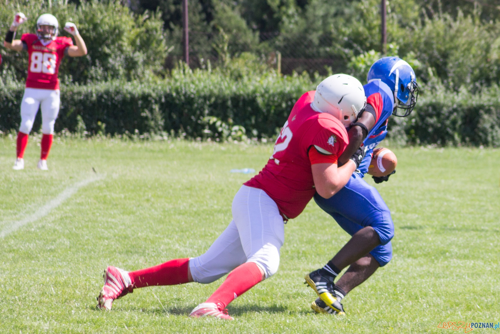 Koz艂y Pozna艅 B-Patrioci Pozna艅 Foto: Ewelina Ja艣kowiak Koz艂y Pozna艅 B-Patrioci Pozna艅 Foto: Ewelina Ja艣kowiak