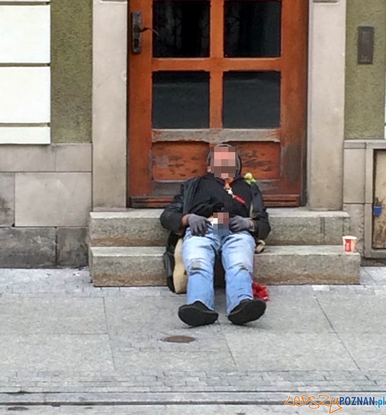 Kusiciel z Wrocławskiej Foto: Stowarzyszenie Ulica Wrocławska Kusiciel z Wrocławskiej Foto: Stowarzyszenie Ulica Wrocławska