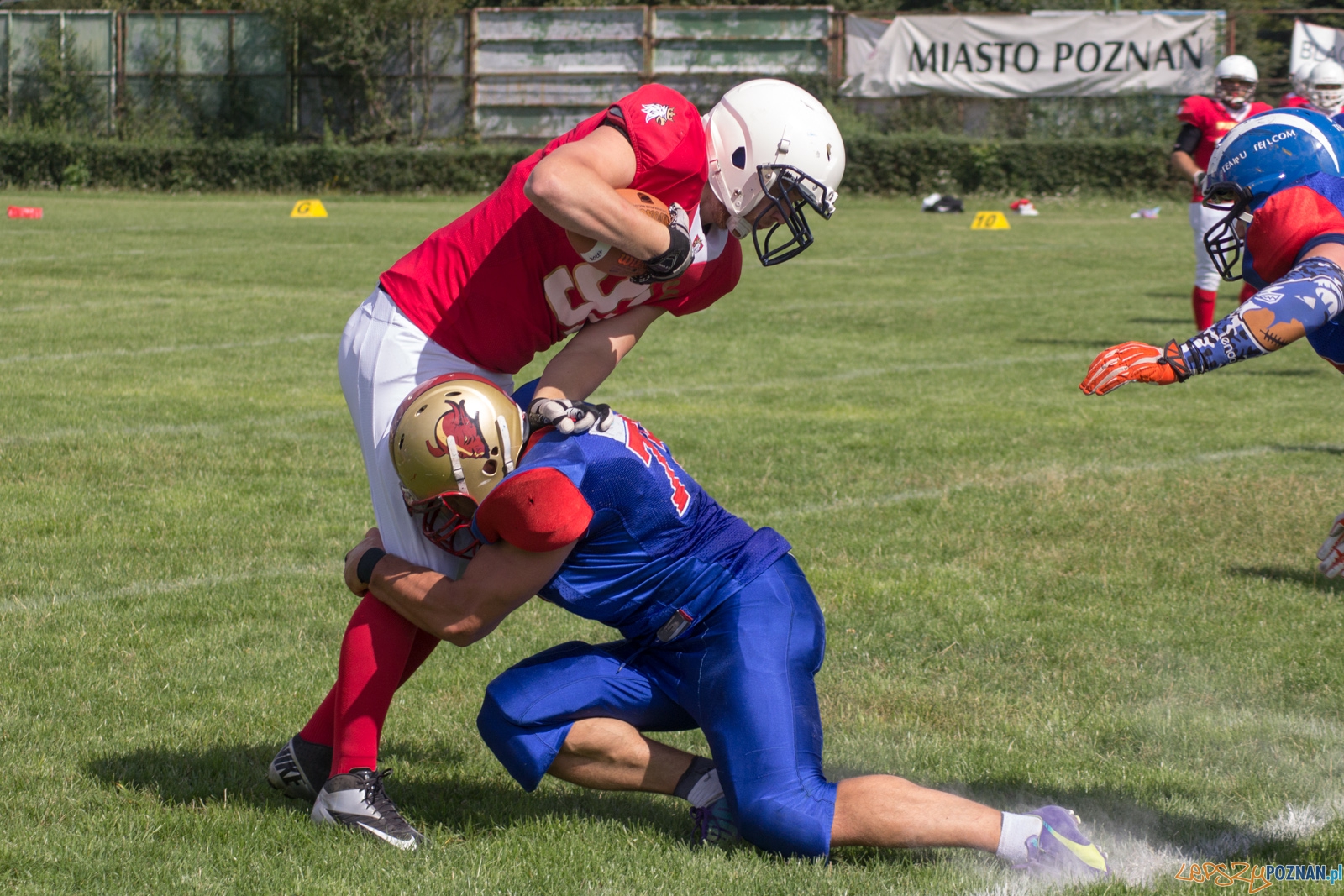 Koz艂y Pozna艅 B-Patrioci Pozna艅 Foto: Ewelina Ja艣kowiak Koz艂y Pozna艅 B-Patrioci Pozna艅 Foto: Ewelina Ja艣kowiak