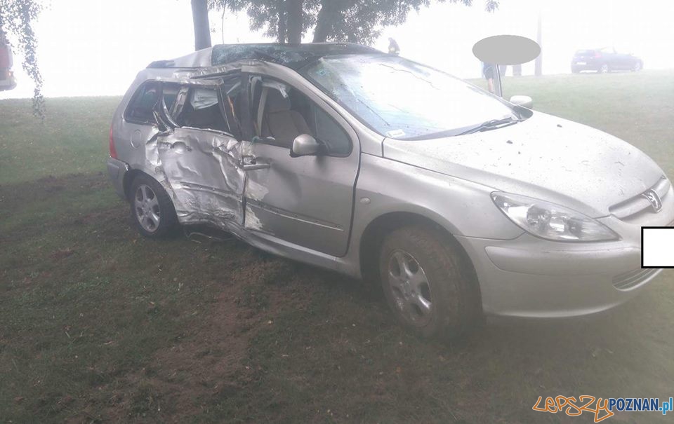 Wypadek we mgle Foto: OSP Skoki Wypadek we mgle Foto: OSP Skoki