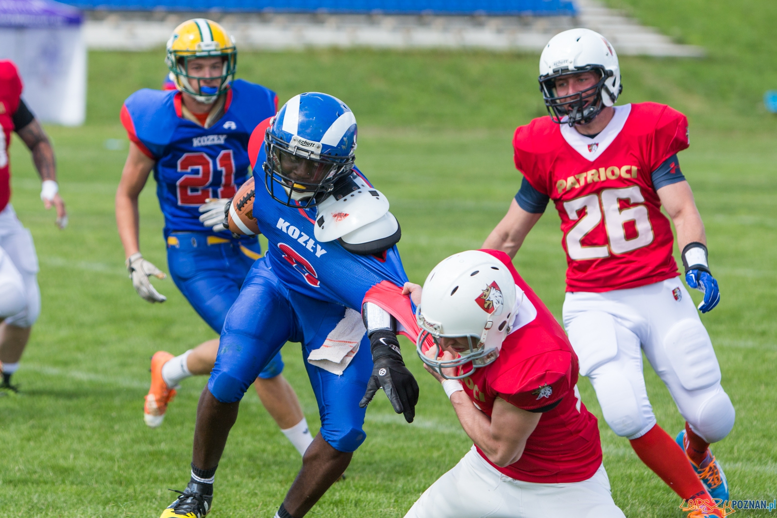 Koz艂y Pozna艅 B - Patrioci Pozna艅 - 8. kolejka PLFA II Foto: lepszyPOZNAN.pl / Piotr Rychter Koz艂y Pozna艅 B - Patrioci Pozna艅 - 8. kolejka PLFA II Foto: lepszyPOZNAN.pl / Piotr Rychter