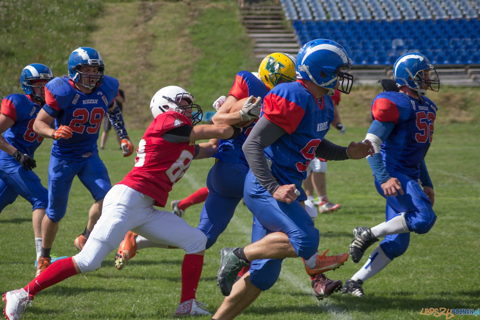 Koz艂y Pozna艅 B-Patrioci Pozna艅 Foto: Ewelina Ja艣kowiak Koz艂y Pozna艅 B-Patrioci Pozna艅 Foto: Ewelina Ja艣kowiak