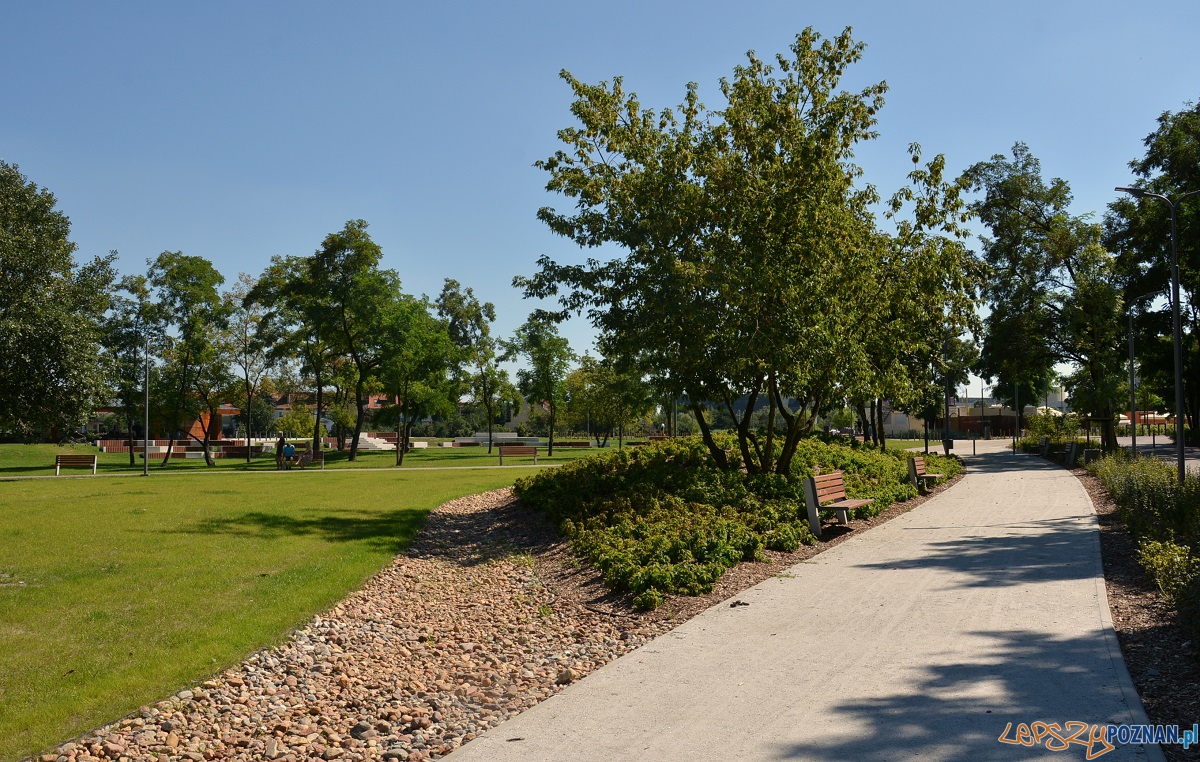 Park Stare Koryto Warty Foto: UMP Park Stare Koryto Warty Foto: UMP