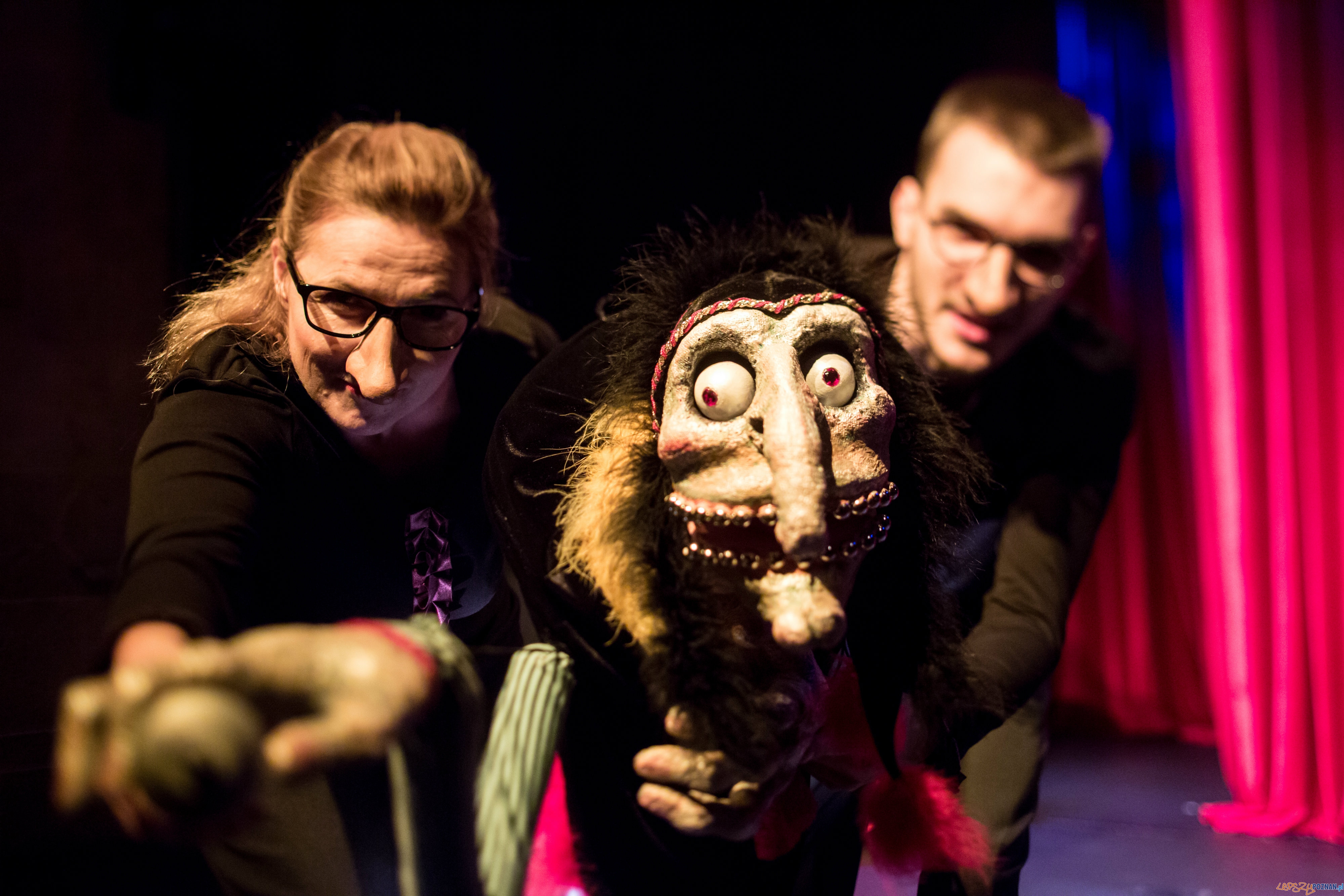 Molier, reż. N. Tranter Foto: Jakub Wittchen Molier, reż. N. Tranter Foto: Jakub Wittchen