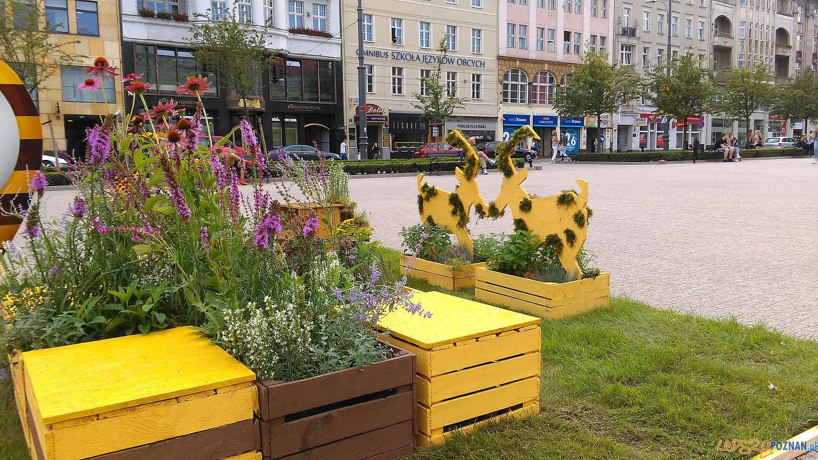 Pomagamy pszczołom - instalacja na Placu Wolności Foto: Pomagamy pszczołom - instalacja na Placu Wolności Foto: