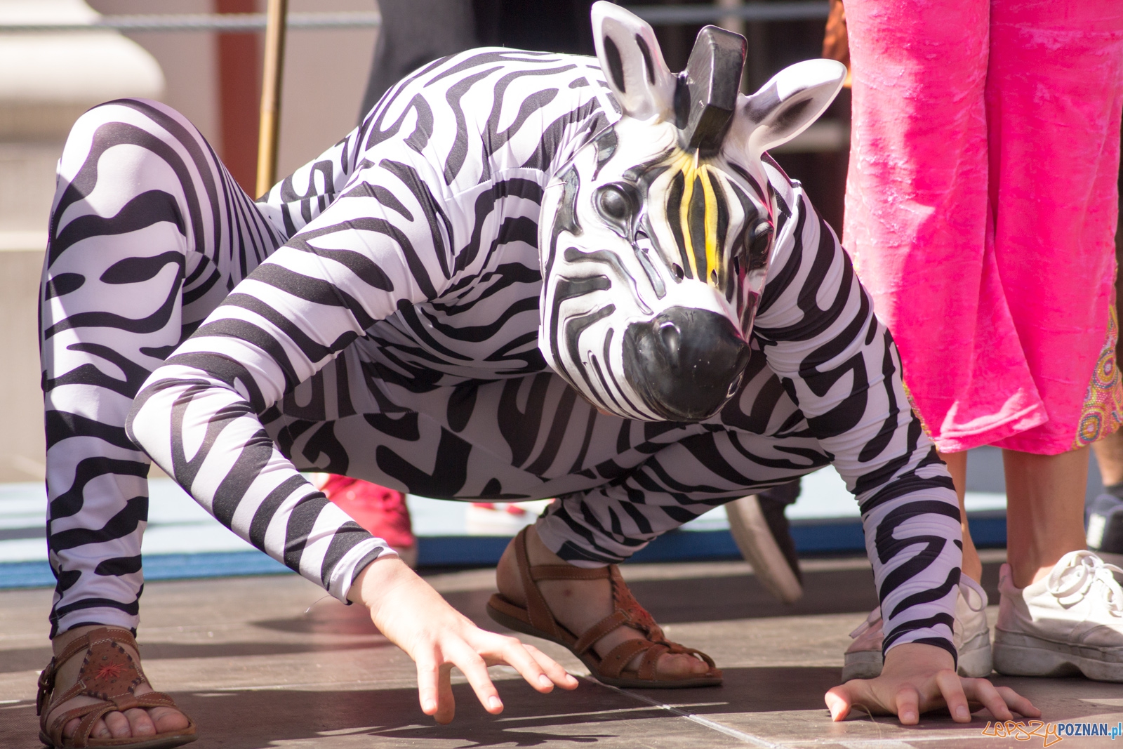 I Międzynarodowe Warsztataty Akrobatyczno – Cyrkowe Foto: Ewelina Jaśkowiak I Międzynarodowe Warsztataty Akrobatyczno – Cyrkowe Foto: Ewelina Jaśkowiak