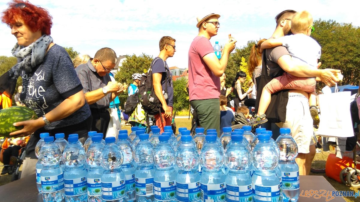 dni-starego-miasta-42 Foto: dni-starego-miasta-42 Foto: