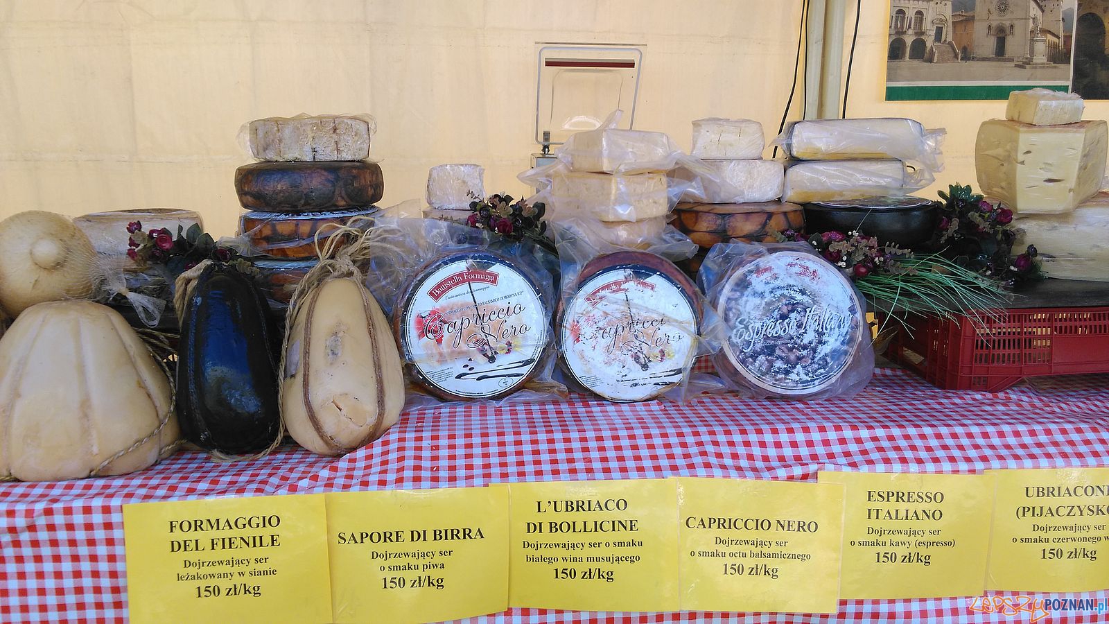 Włoski targ na Placu Wolności (6) Foto: TD Włoski targ na Placu Wolności (6) Foto: TD