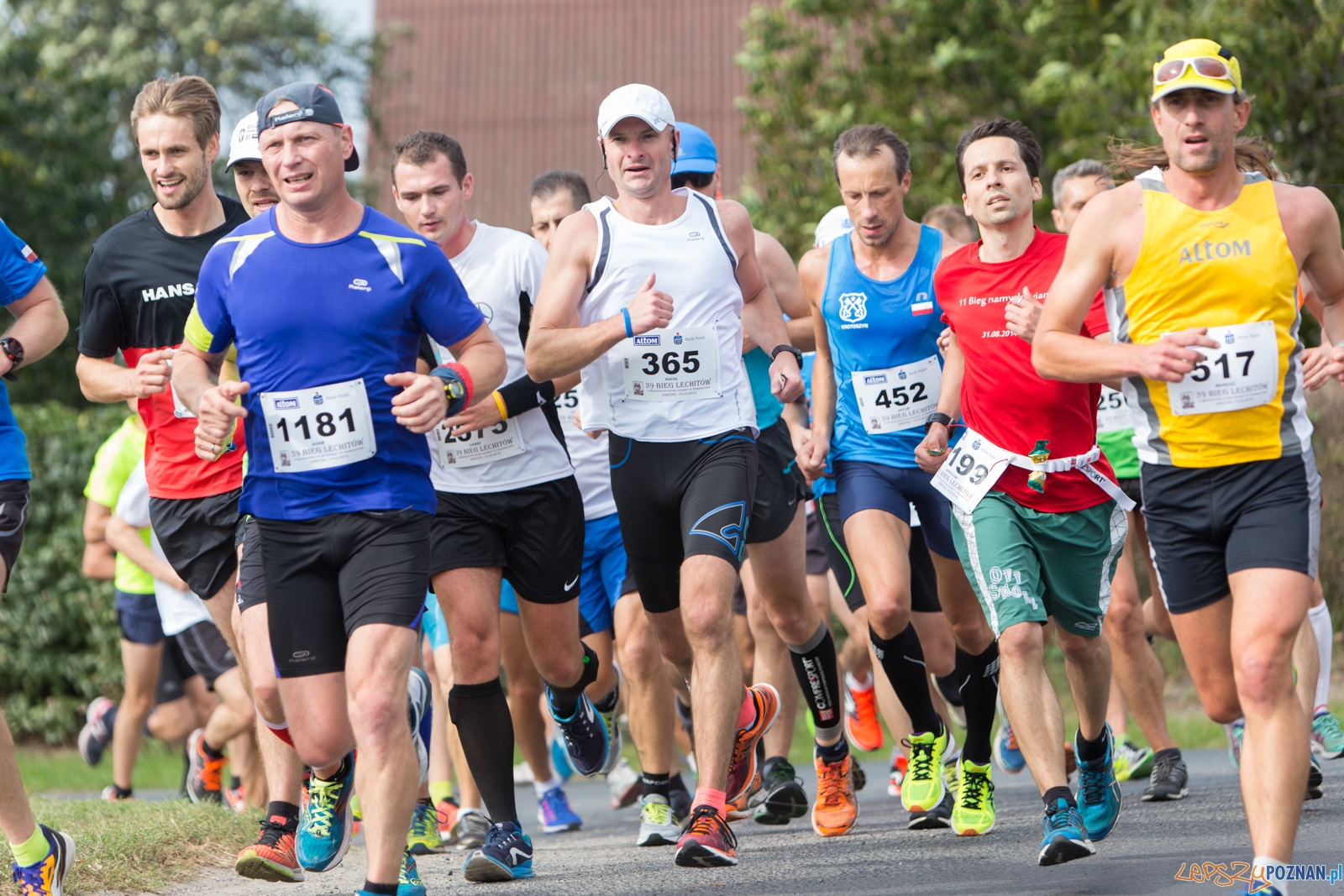 39. Bieg Lechitów Foto: lepszyPOZNAN.pl / Piotr Rychter 39. Bieg Lechitów Foto: lepszyPOZNAN.pl / Piotr Rychter
