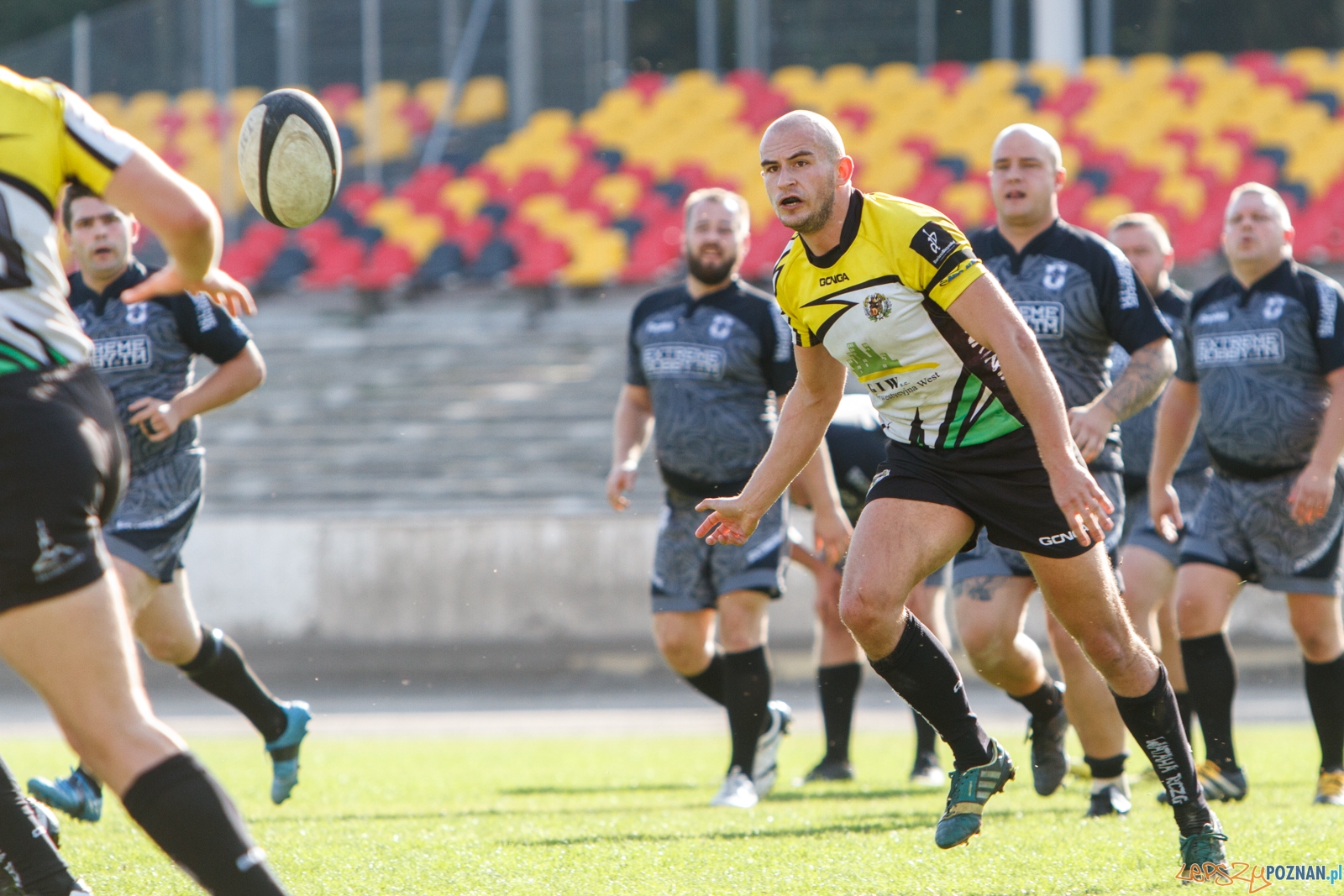 Chaos Poznań - Wataha Zielona Góra 48:19 - Poznań 25.09.2016 Foto: LepszyPOZNAN.pl / Paweł Rychter Chaos Poznań - Wataha Zielona Góra 48:19 - Poznań 25.09.2016 Foto: LepszyPOZNAN.pl / Paweł Rychter