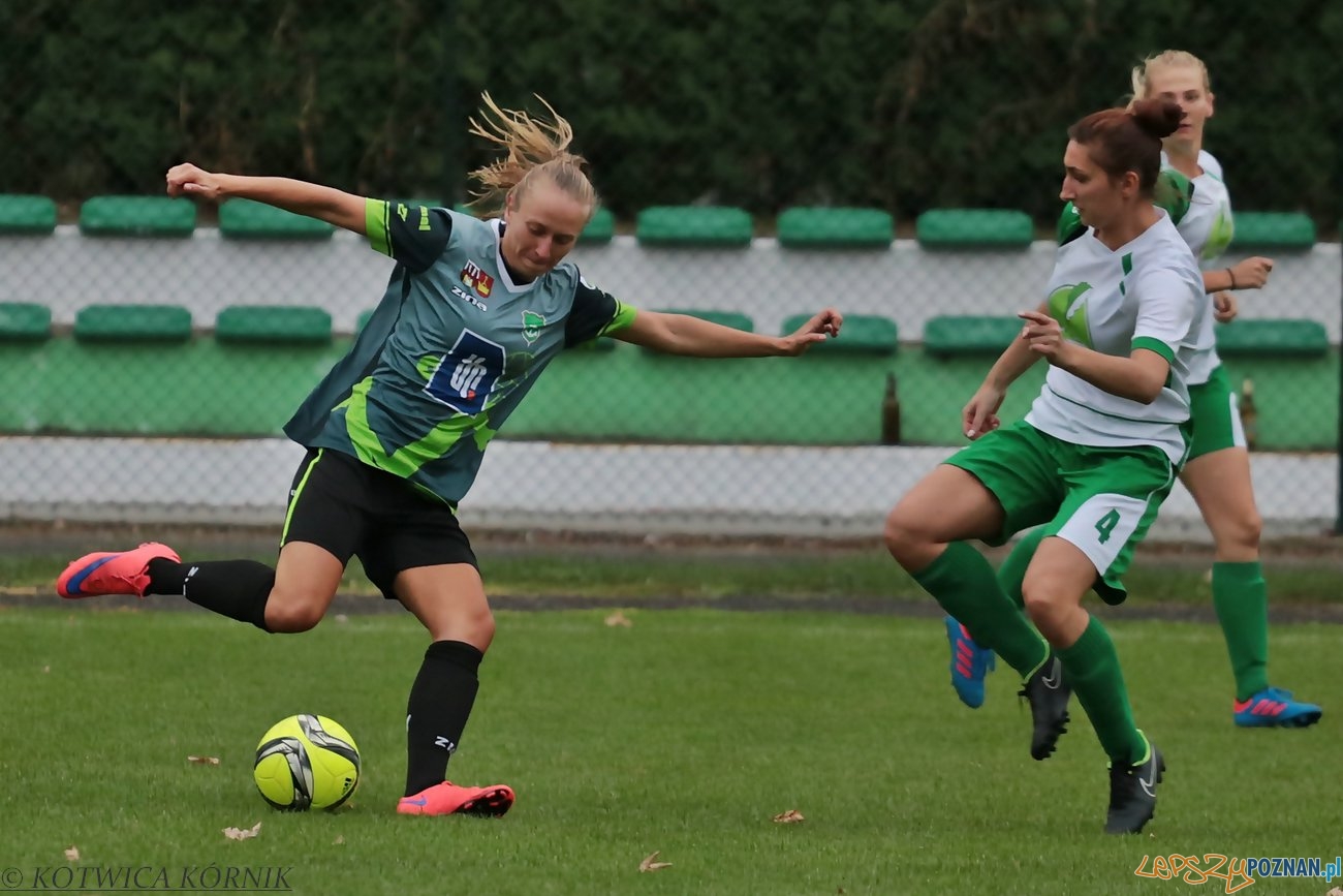 kotwica-kornik-gss-grodzisk-2016-09-18-8 Foto: Informacja własna@Kotwica Kórnik kotwica-kornik-gss-grodzisk-2016-09-18-8 Foto: Informacja własna@Kotwica Kórnik