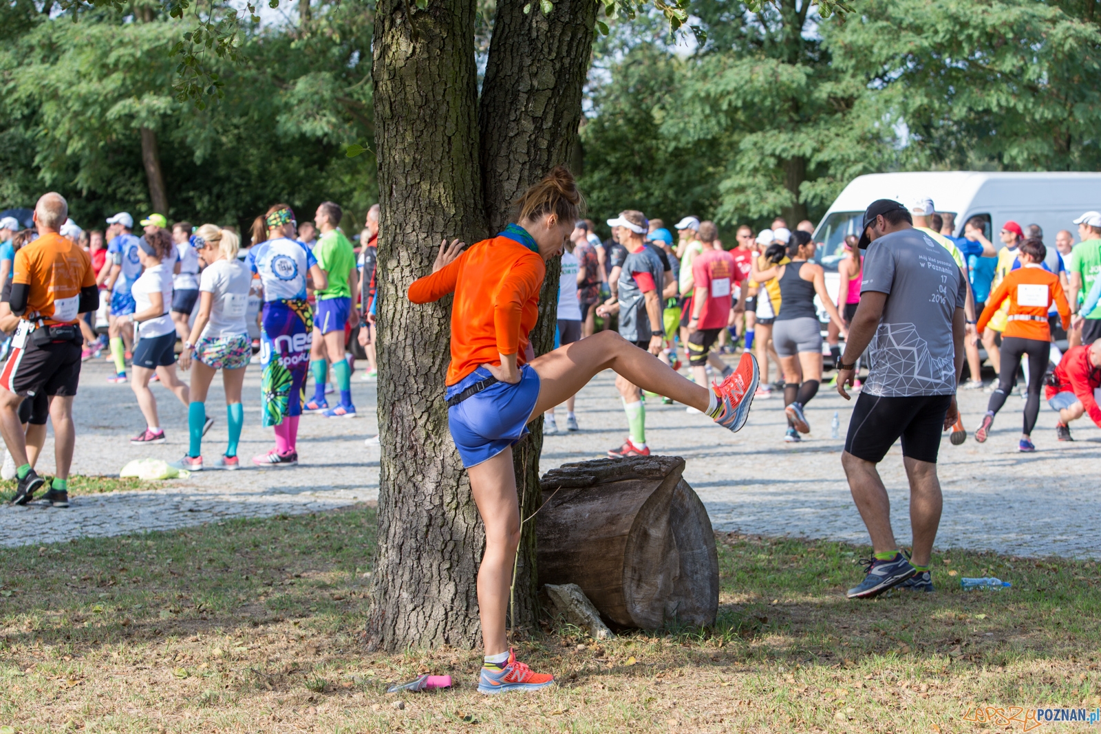 39. Bieg Lechitów Foto: lepszyPOZNAN.pl / Piotr Rychter 39. Bieg Lechitów Foto: lepszyPOZNAN.pl / Piotr Rychter