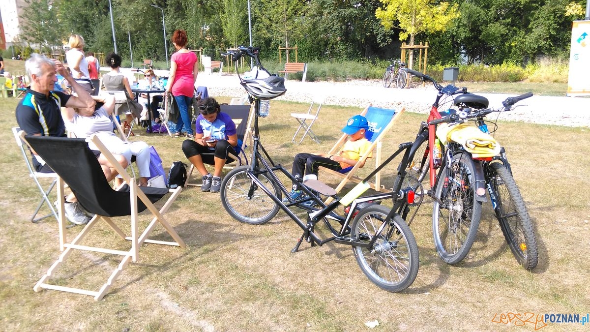 dni-starego-miasta-66 Foto: dni-starego-miasta-66 Foto: