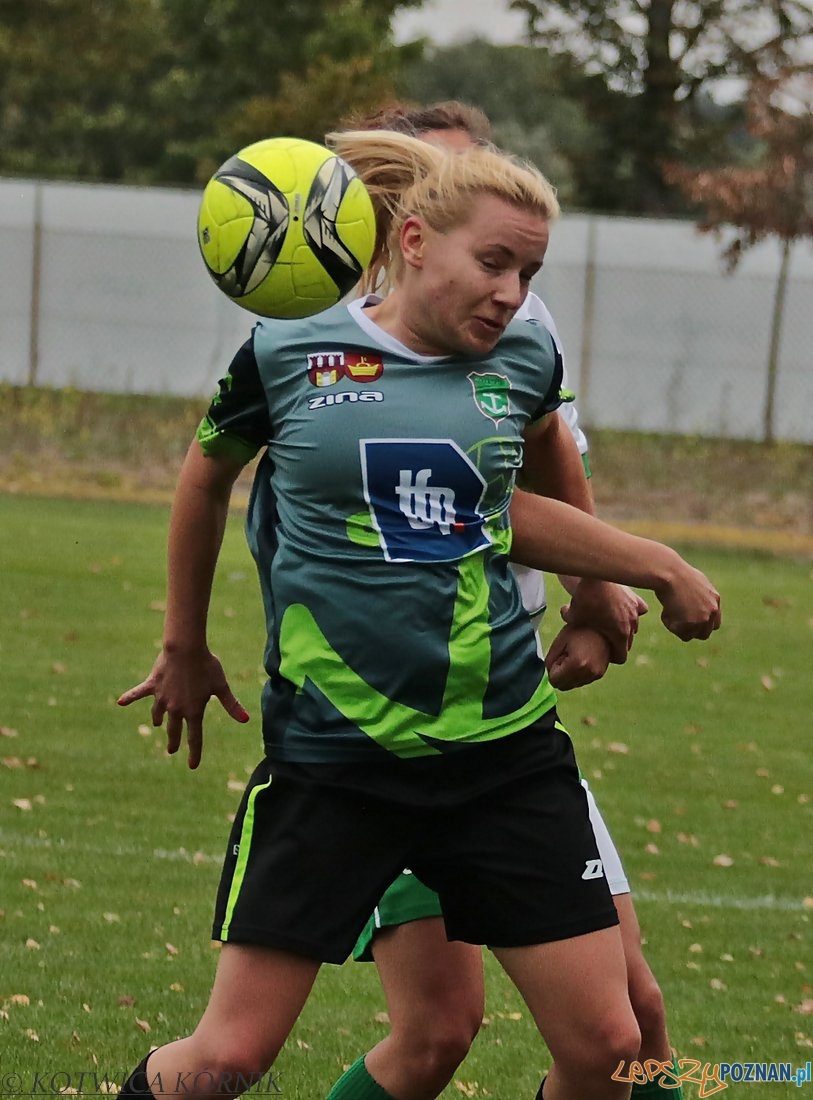 kotwica-kornik-gss-grodzisk-2016-09-18-11 Foto: Informacja własna@Kotwica Kórnik kotwica-kornik-gss-grodzisk-2016-09-18-11 Foto: Informacja własna@Kotwica Kórnik