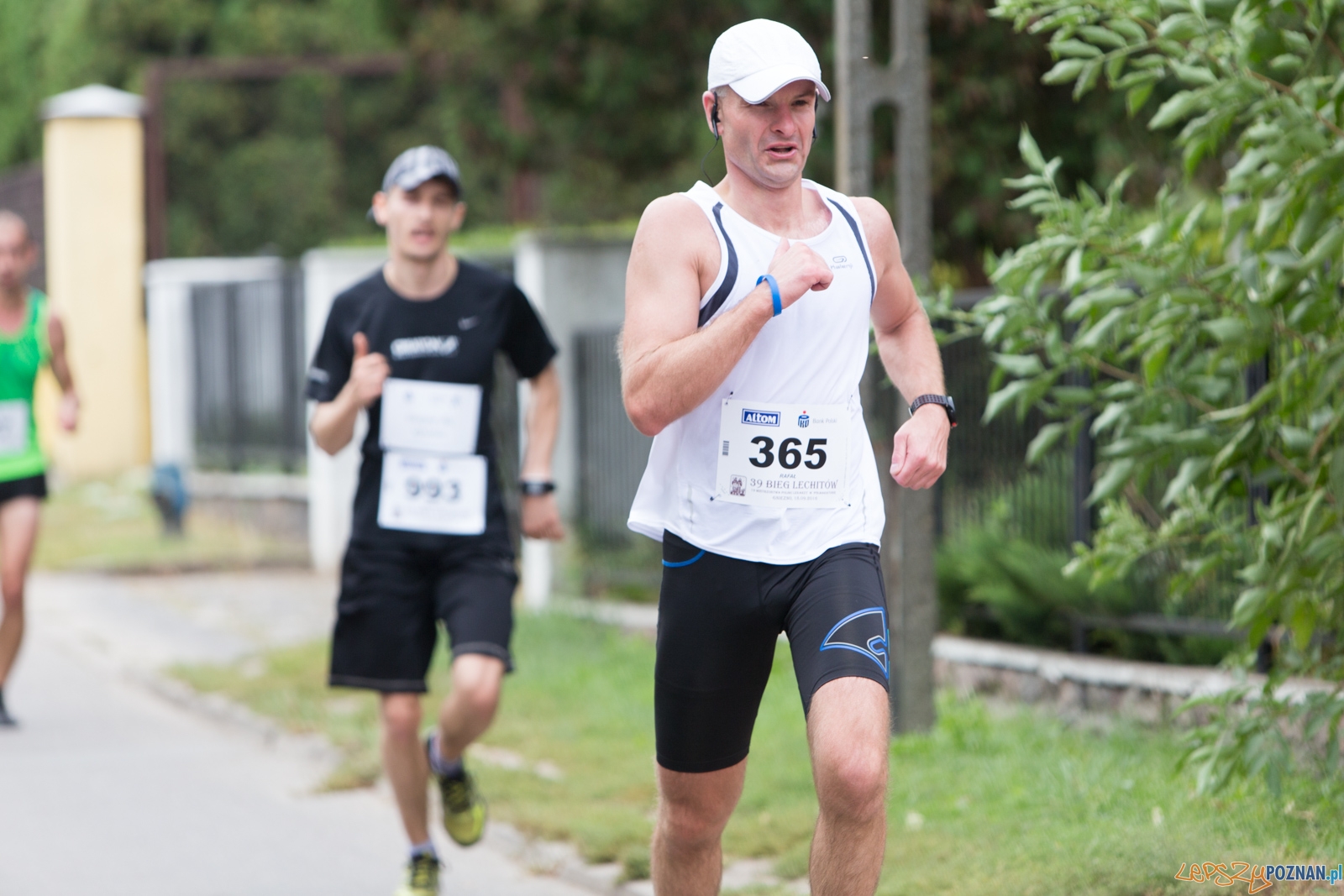 39. Bieg Lechitów Foto: lepszyPOZNAN.pl / Piotr Rychter 39. Bieg Lechitów Foto: lepszyPOZNAN.pl / Piotr Rychter