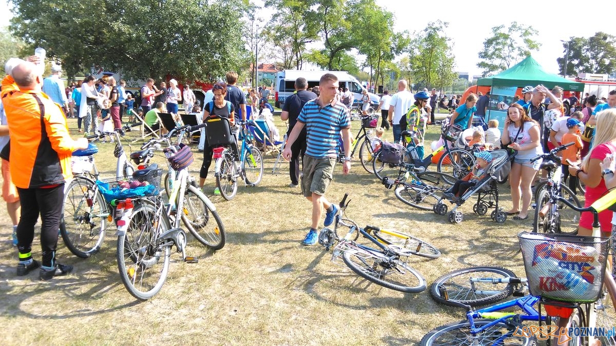 dni-starego-miasta-29 Foto: dni-starego-miasta-29 Foto: