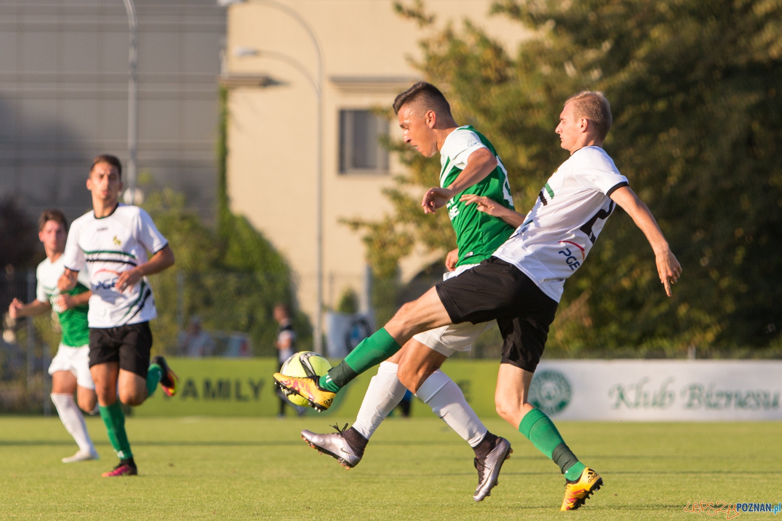Warta Poznań - GKS Bełchatów Foto: lepszyPOZNAN.pl / Piotr Rychter Warta Poznań - GKS Bełchatów Foto: lepszyPOZNAN.pl / Piotr Rychter