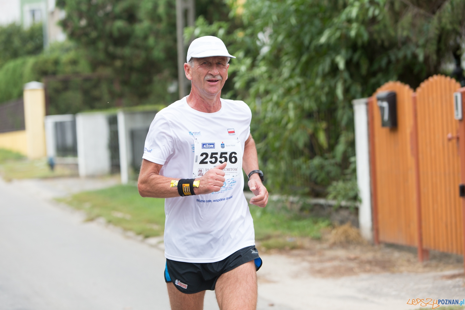 39. Bieg Lechitów Foto: lepszyPOZNAN.pl / Piotr Rychter 39. Bieg Lechitów Foto: lepszyPOZNAN.pl / Piotr Rychter