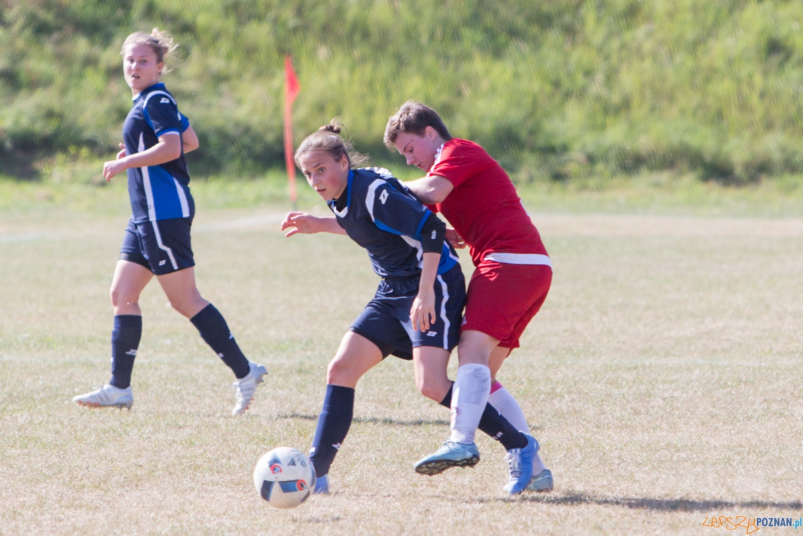 Polonia Poznań - MUKS Praga Warszawa Foto: lepszyPOZNAN.pl / Piotr Rychter Polonia Poznań - MUKS Praga Warszawa Foto: lepszyPOZNAN.pl / Piotr Rychter